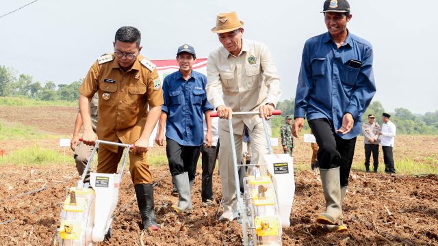 Gubernur Andra Soni Canangkan Gerakan Tanam Jagung untuk Ketahanan Pangan di Banten