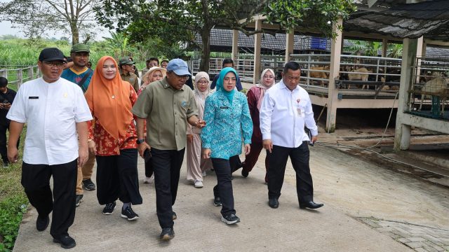 Kunjungi Sitandu, Tinawati Andra Soni Tekankan Penguatan Ketahanan Keluarga Lewat Pertanian