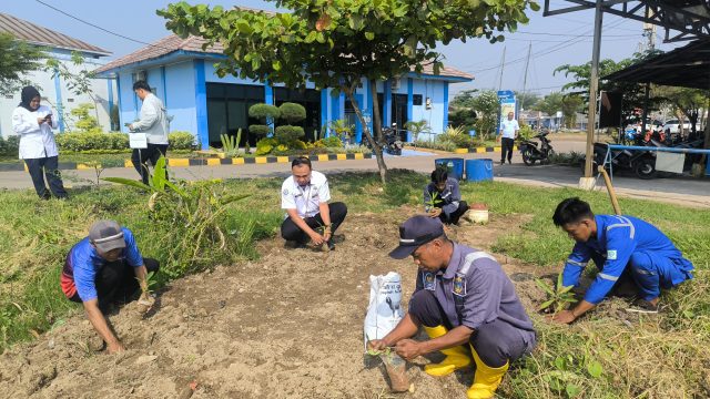 PPN Karangantu Wujudkan Pelabuhan Ramah Lingkungan Melalui Penanaman Pohon