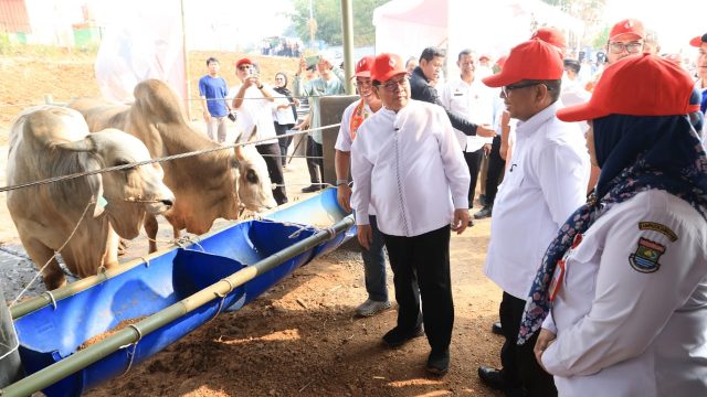 Komitmen Gubernur Andra Soni Perkuatan Ketahanan Pangan di Banten Dipuji Pramono Anung